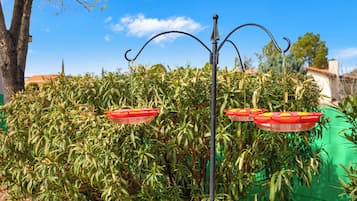 Un lampadaire en métal avec trois lampes rouges en forme de fleurs.