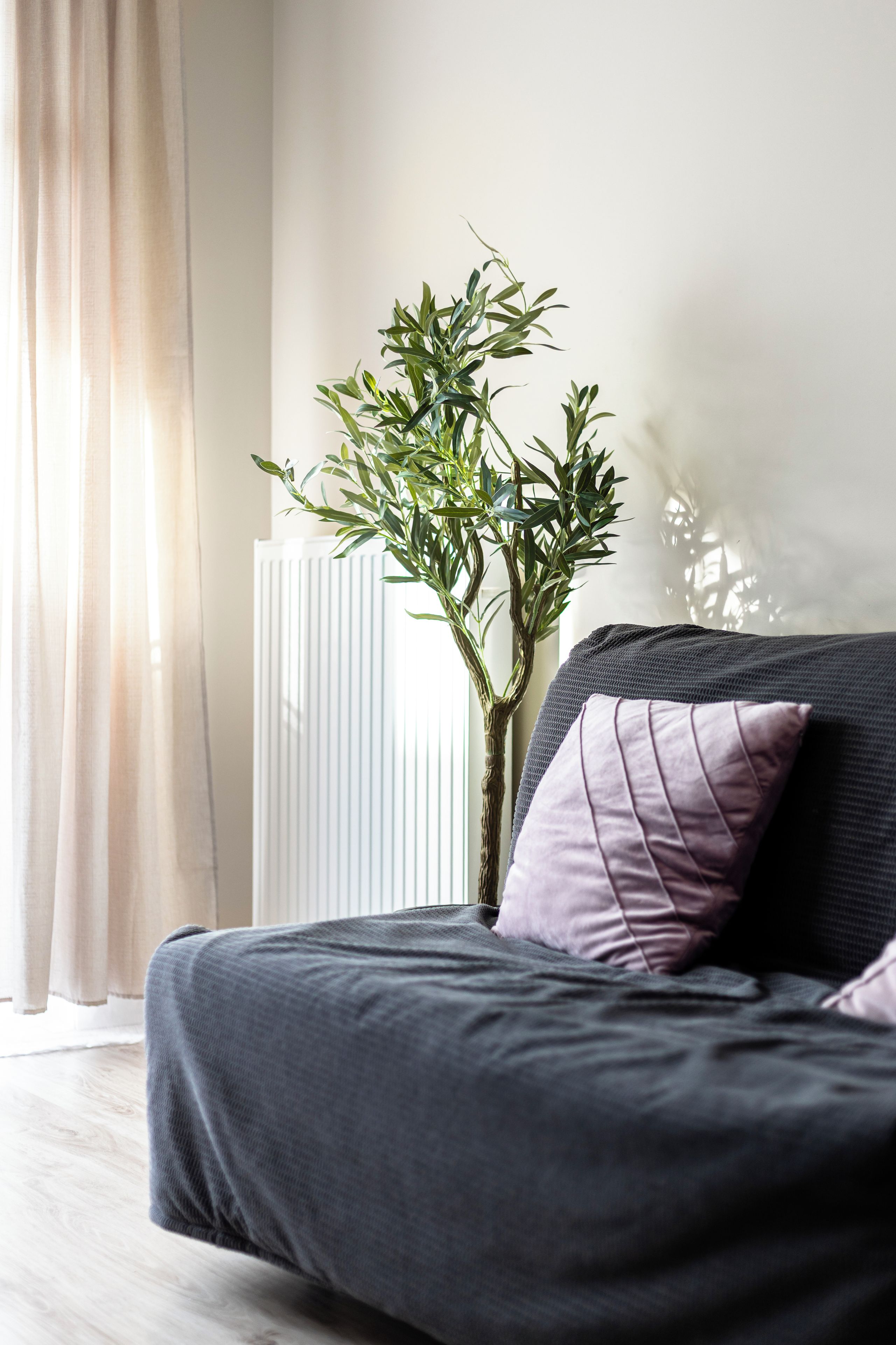 Una sala moderna con un sofá oscuro, una planta en maceta y un radiador.
