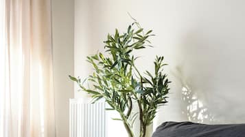 Una sala moderna con un sofá oscuro, una planta en maceta y un radiador.