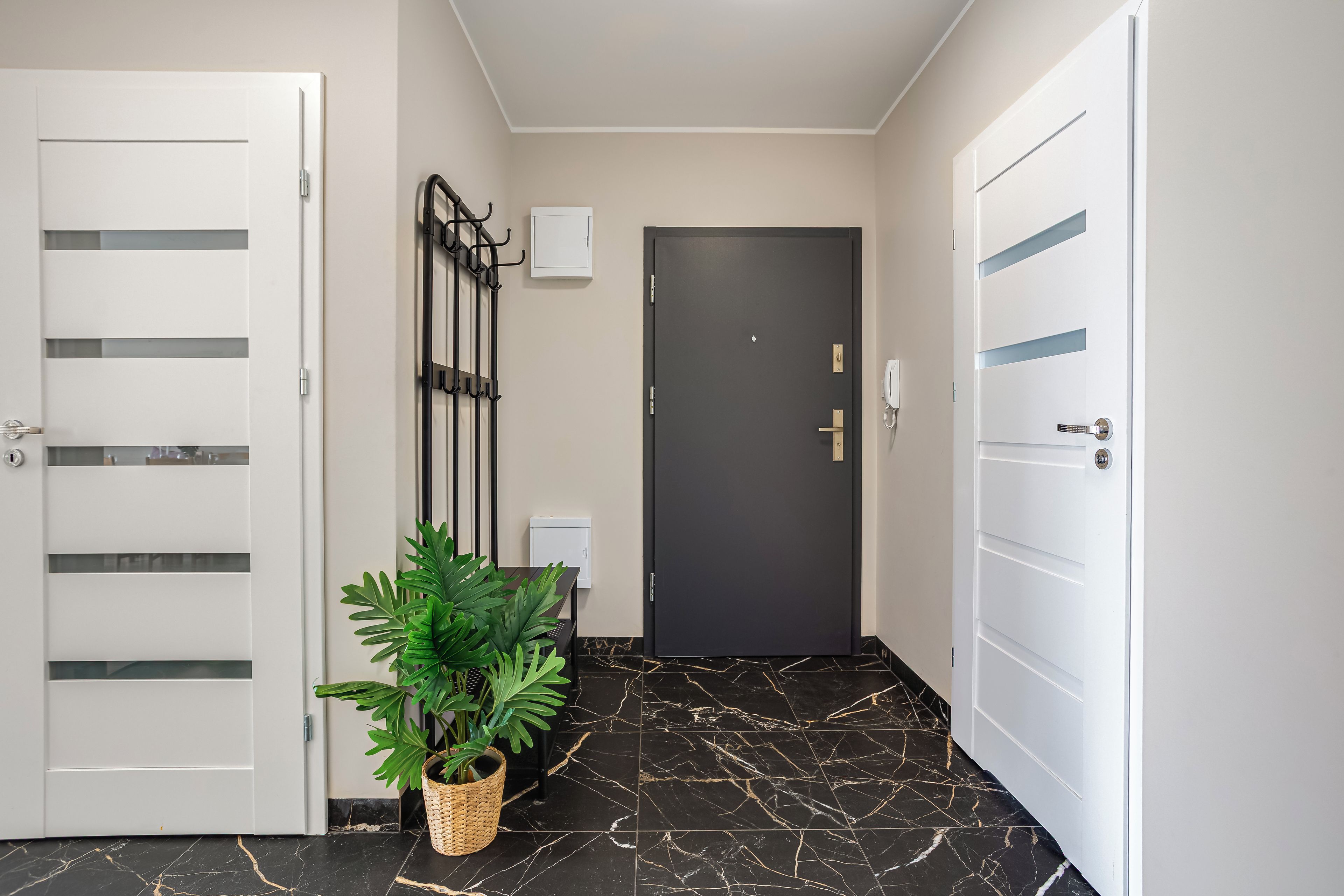 Un couloir avec une porte sombre, une porte blanche à lattes horizontales et une plante en pot.
