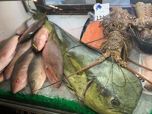 Alimentos y bebidas