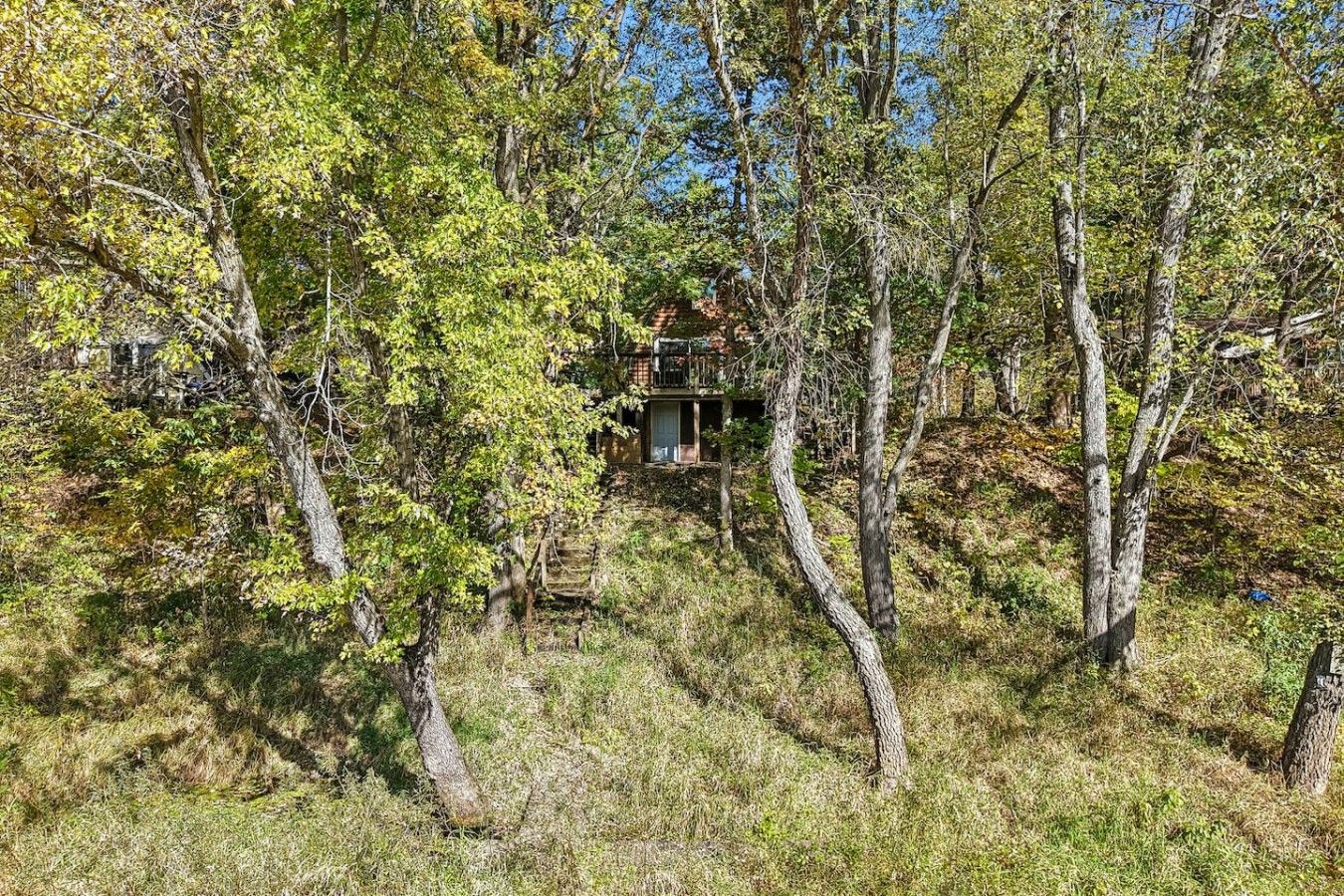 A secluded cabin surrounded by trees in a forested area.