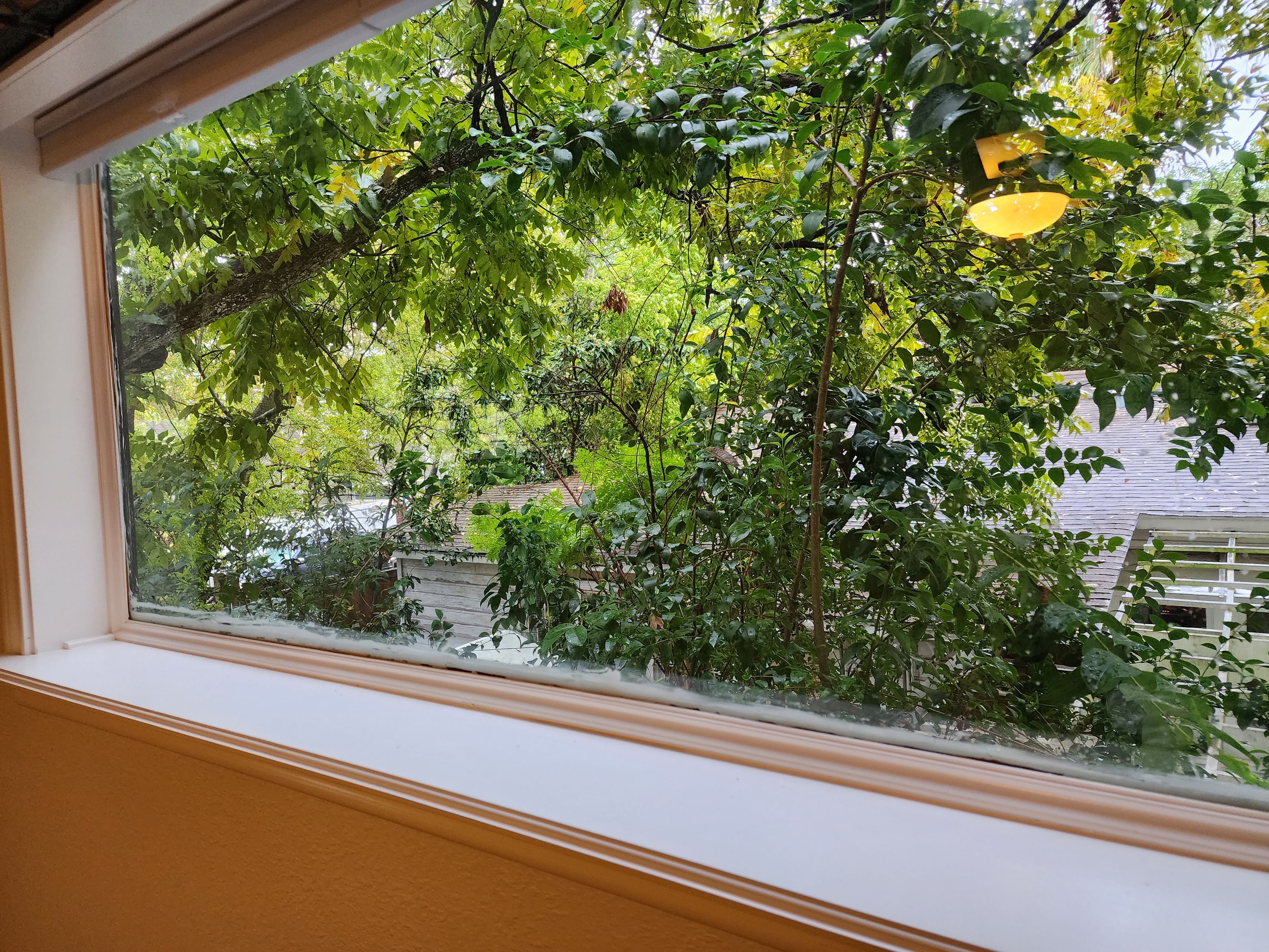 Une fenêtre donnant sur un jardin luxuriant et verdoyant, avec un bâtiment visible au loin.