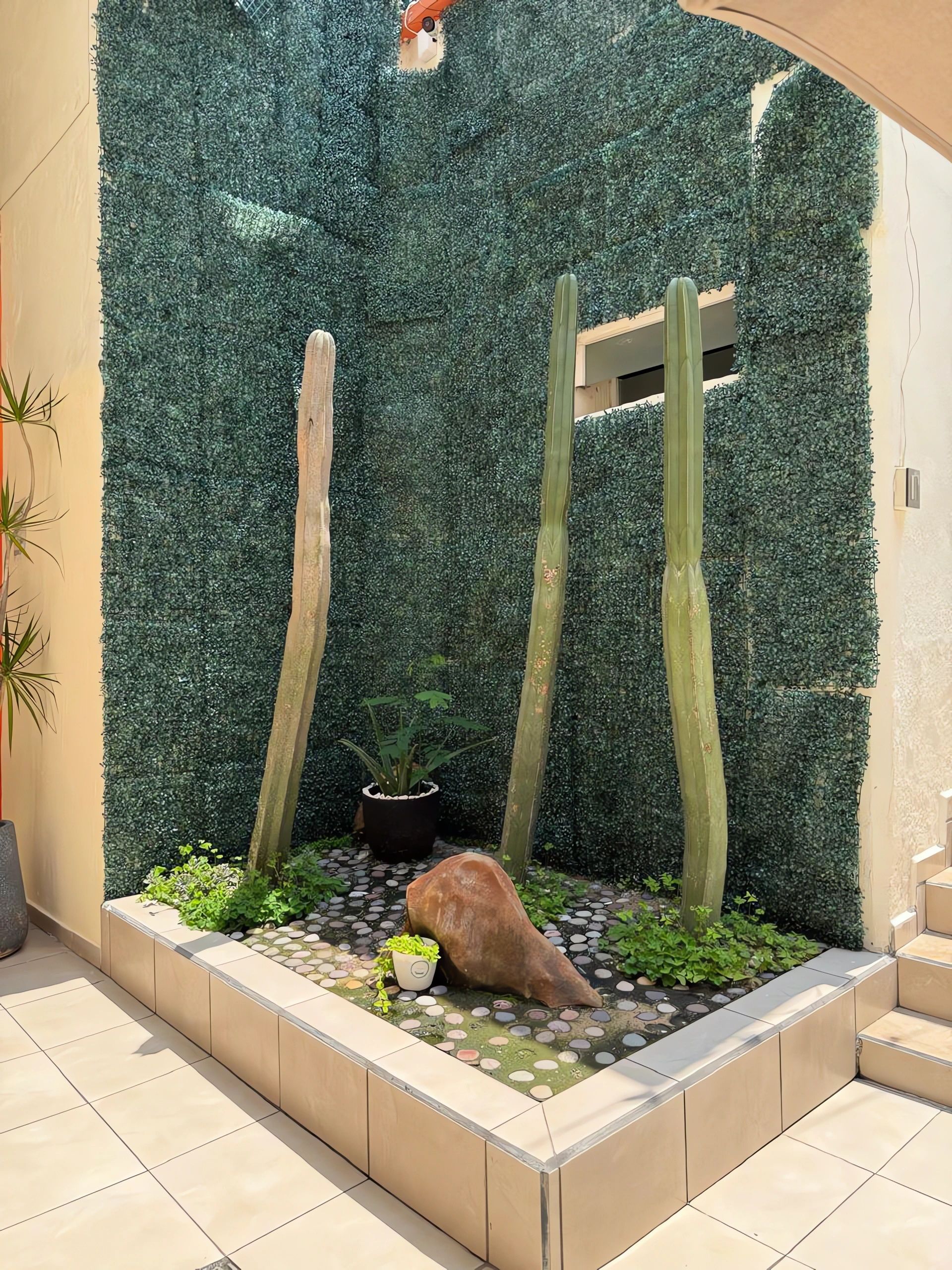 A garden area with a green wall, a rock, and a potted plant.