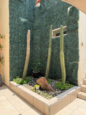 Un jardín con pared verde, una roca y una planta en maceta.
