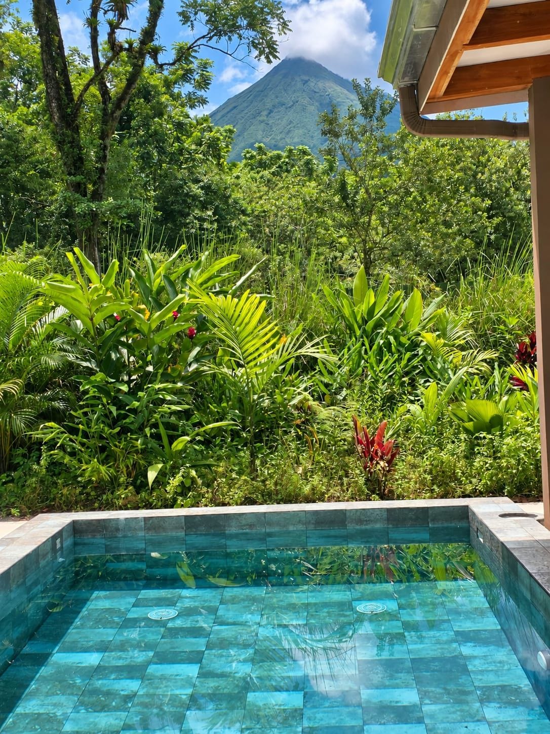 A swimming pool surrounded by lush greenery and a mountain in the background.