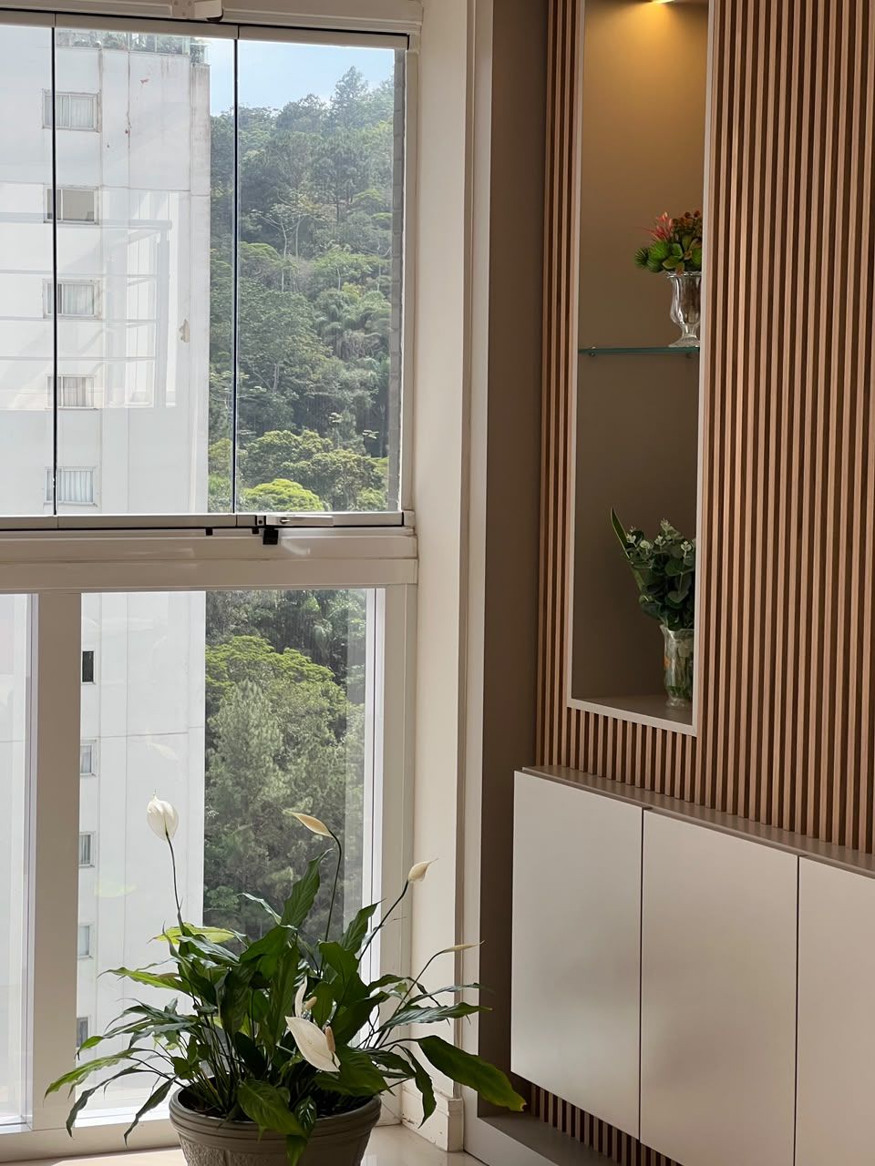 A room with a large window, a potted plant, and a mirror with vertical paneling.