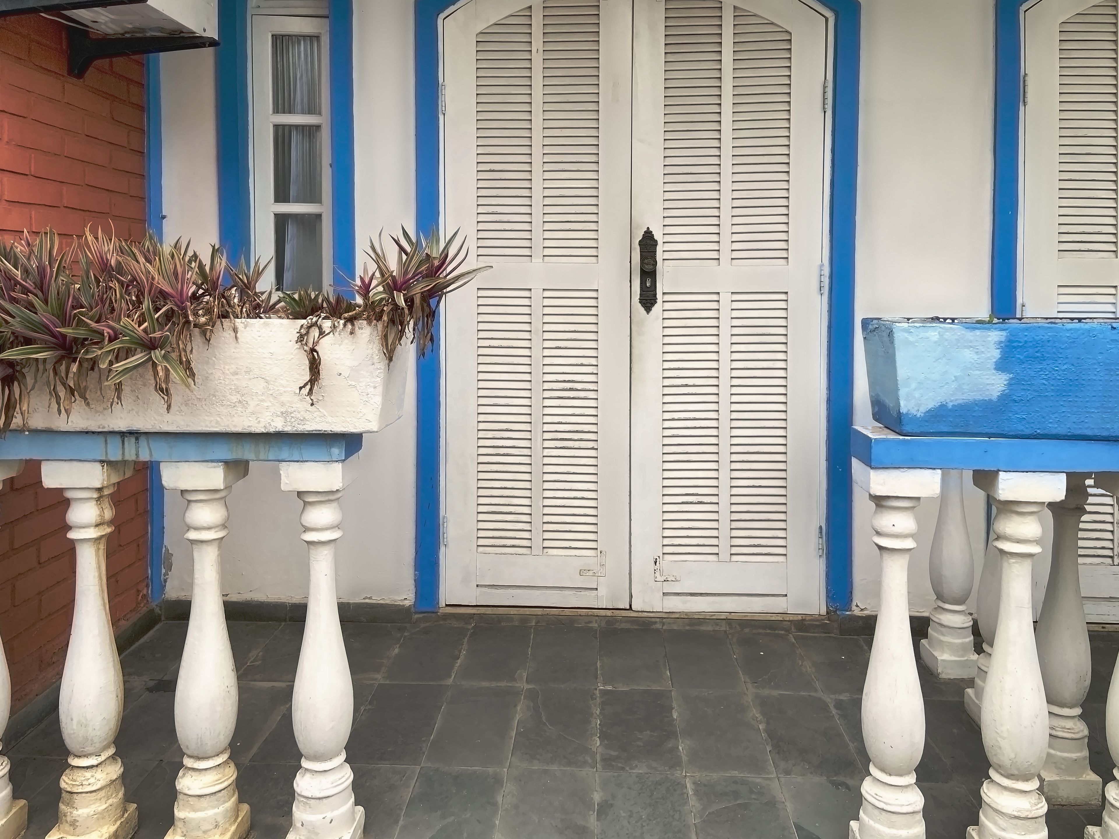 Fachada de edificio con puerta blanca, detalles azules y una maceta con plantas.