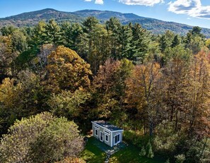 A small, white cabin surrounded by dense forest with a mountain in the background. - Red Barn Cabin (Brownsville)