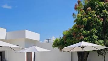 A courtyard with lounge chairs and umbrellas, a tree, and a building with a flat roof.