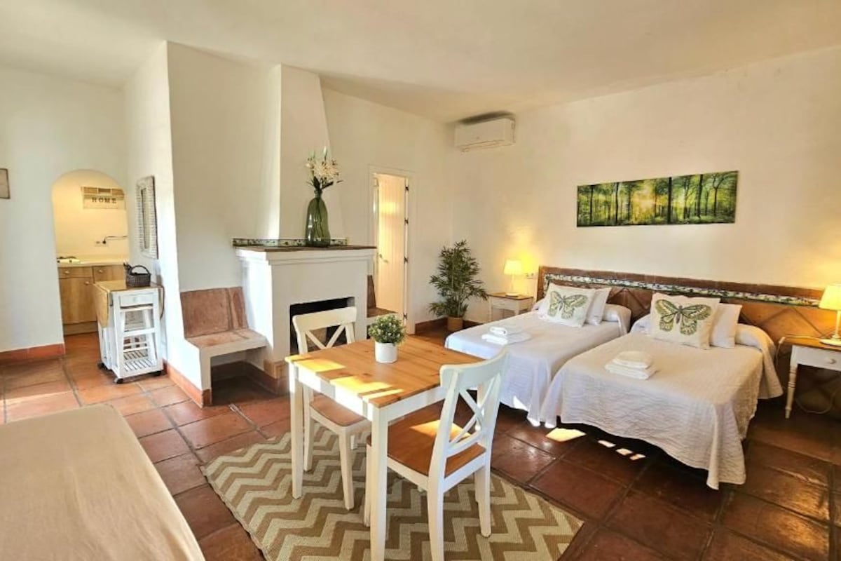 Quarto de hotel com duas camas, uma mesa de jantar, uma cadeira, cozinha compacta e sala de estar com um quadro na parede.