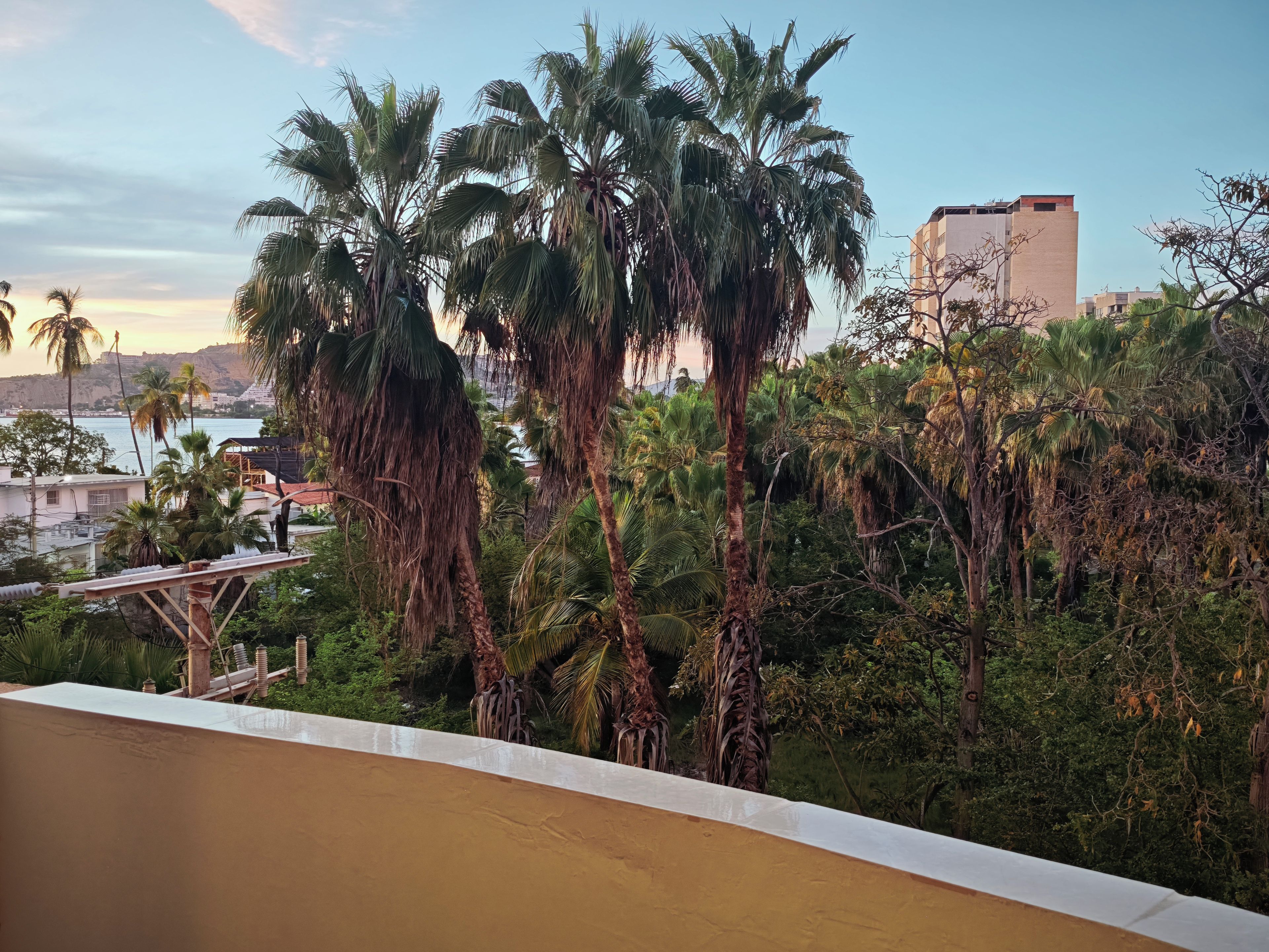 A balcony with a view of palm trees and a building in the background.