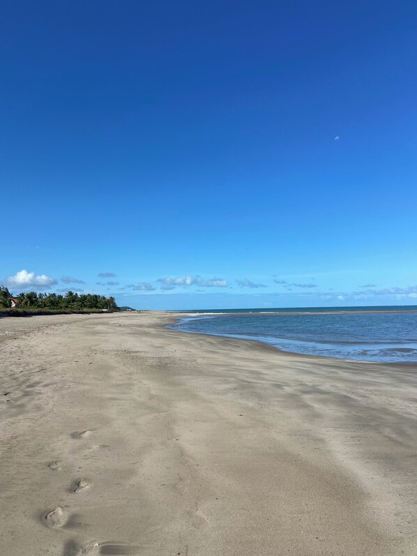 A beach with footprints leading to the water, palm trees, and a clear sky. - New Listing (Japaratinga)