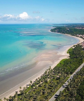 A coastal landscape with a beach, palm trees, and a road.