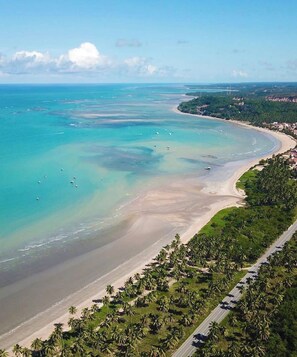A coastal landscape with a beach, palm trees, and a road. - New Listing (Japaratinga)