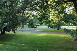 Ein Park mit einer Rasenfläche, Bäumen und einem gewundenen Pfad.