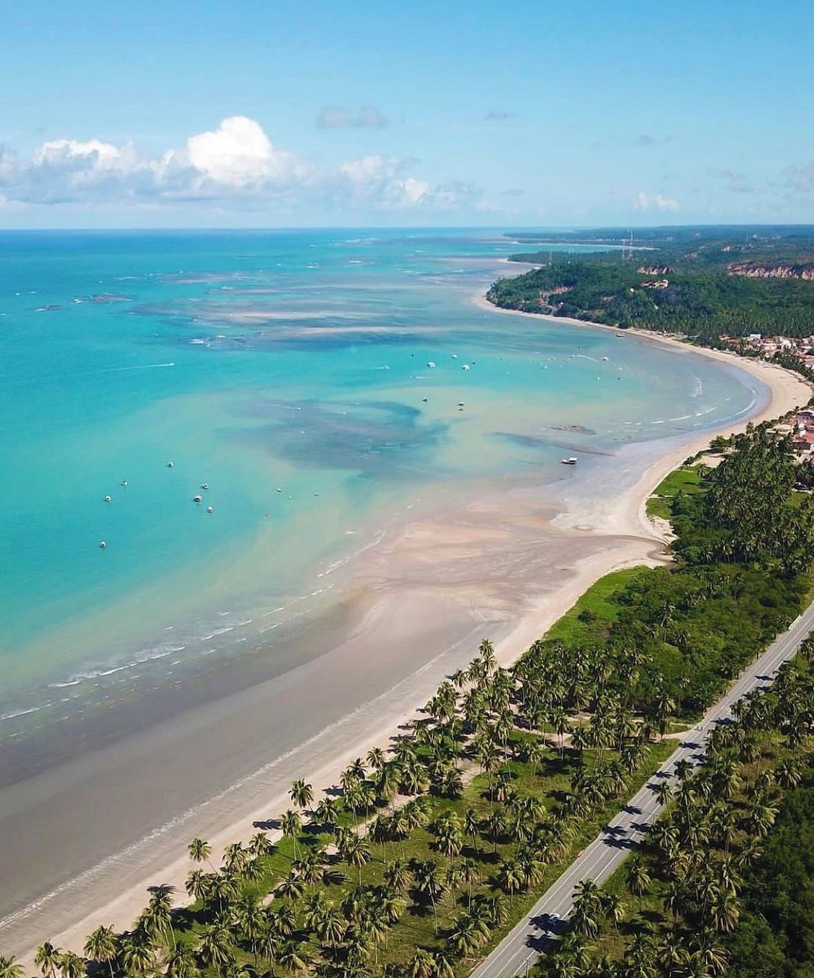 A coastal landscape with a beach, palm trees, and a road.