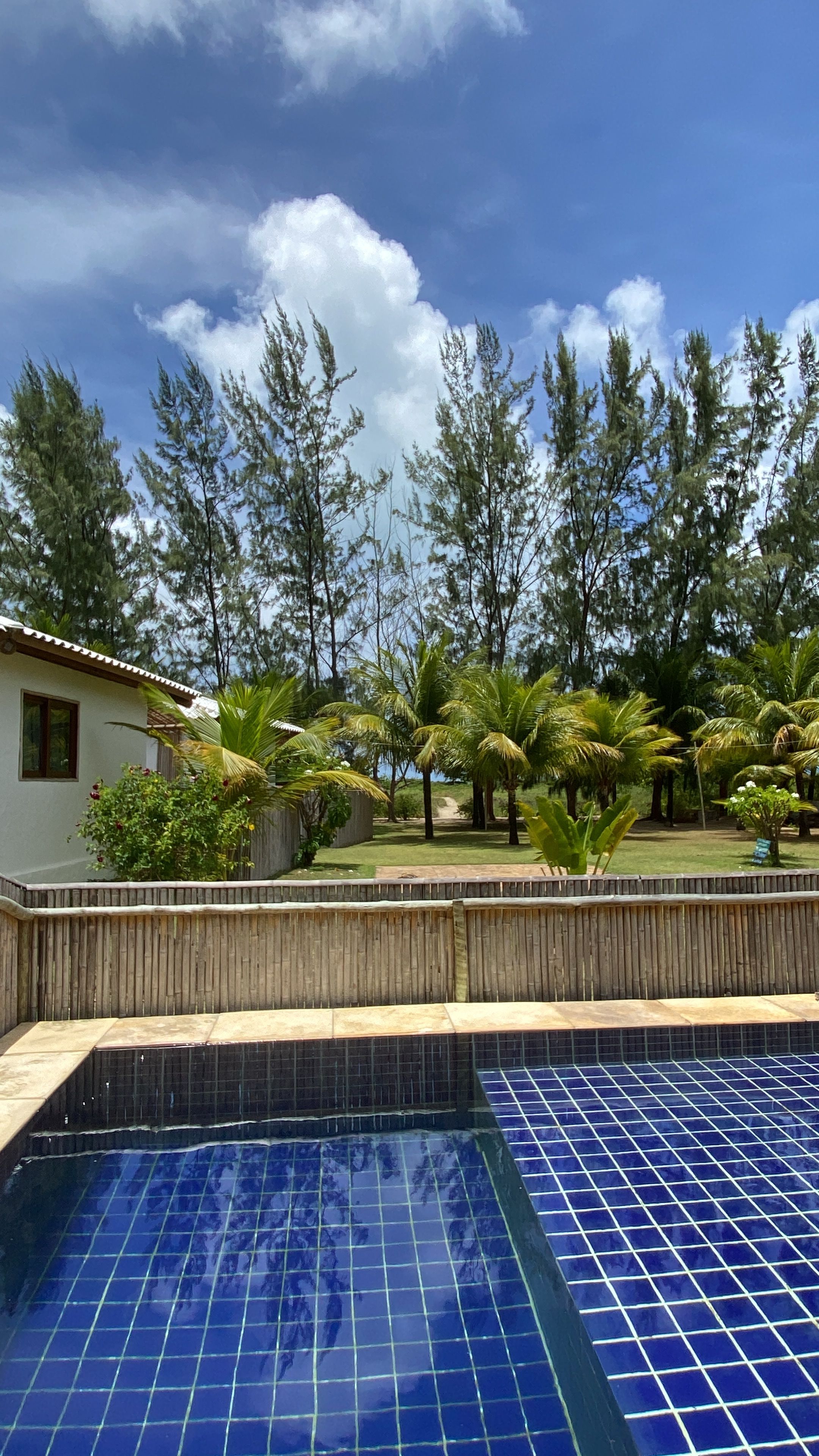 Une piscine aux carreaux bleus, entourée d’une clôture en bois, et une maison en arrière-plan.