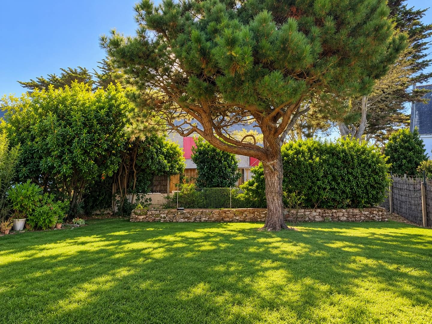 Ein gepflegter Garten mit einem markanten Baum, einer Steinmauer und ordentlich gestutztem Rasen.