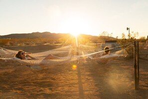 En hængekøje er sat op i et ørkenlandskab med en solnedgang i baggrunden.