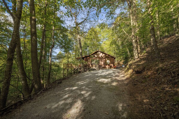 A cabin in a forest with a gravel path leading to it. - Disconnect at Bearly Connected (Ellijay)