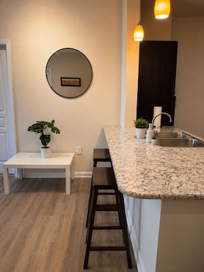 A kitchen with a granite countertop, a sink, and a potted plant. - Stylish 2BR King Suite Near Uptown (Charlotte)