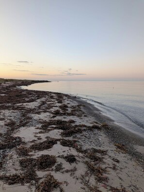 Ein Strand mit tangbestreutem Sand und ruhiger See.