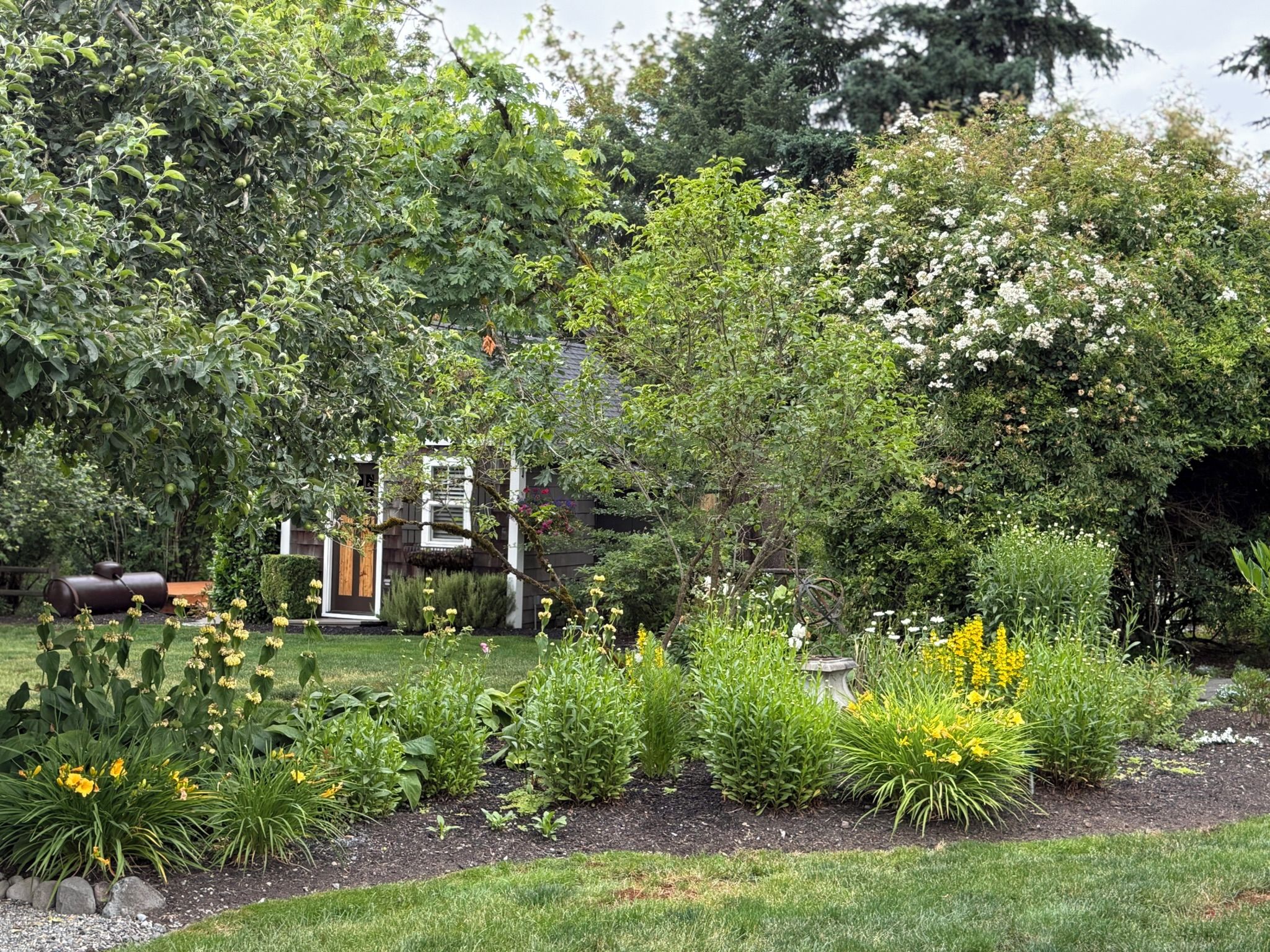 A garden with a variety of plants, a wooden structure, and a metal sculpture.