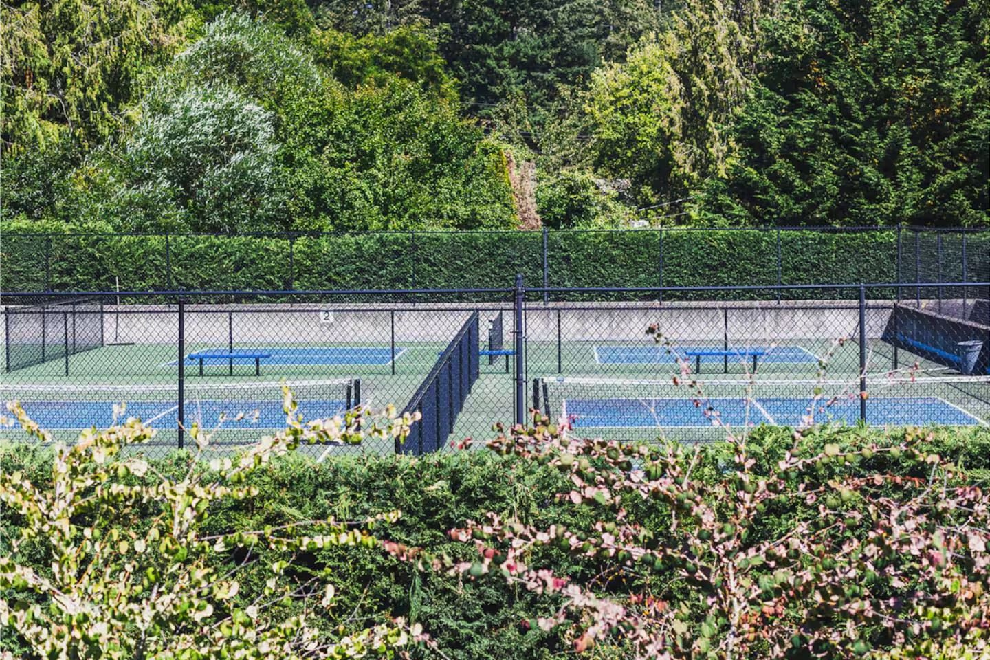 Een tennisbaan omringd door een hek van gaas, met bankjes en bomen op de achtergrond.