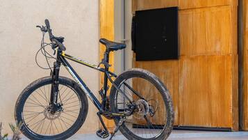 A mountain bike parked in front of a wooden door with a black panel.