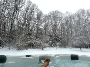 A hot tub surrounded by snow-covered trees. - Lovely 5-bedroom / 2 Bathroom / Pet-friendly (McHenry)