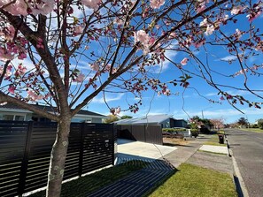 Un quartier résidentiel avec un arbre en pleine floraison, une maison moderne et un ciel bleu dégagé.