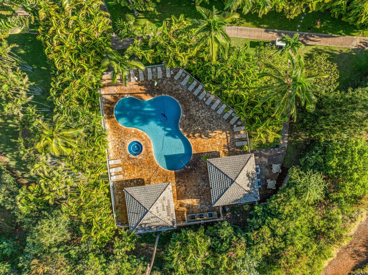 Luchtbeeld van een resort met een zwembad, omringd door palmbomen en een terras met zitplaatsen.