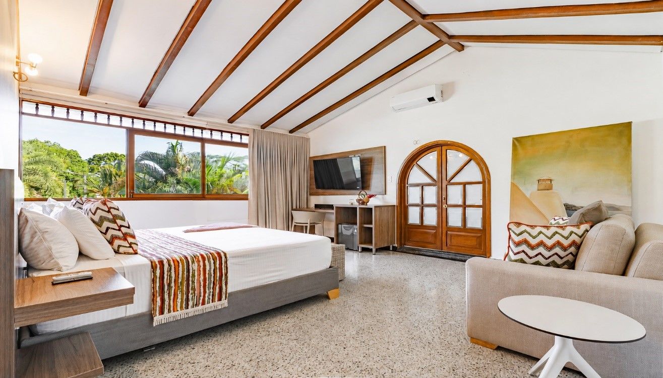 Habitación de hotel con cama, sofá, escritorio con televisor, un cuadro y vistas a zonas verdes.
