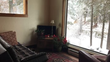 Un salon confortable avec une grande fenêtre, un téléviseur et une cheminée.