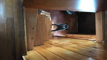 Un plancher en bois, et un chien qui saute sous une poutre.