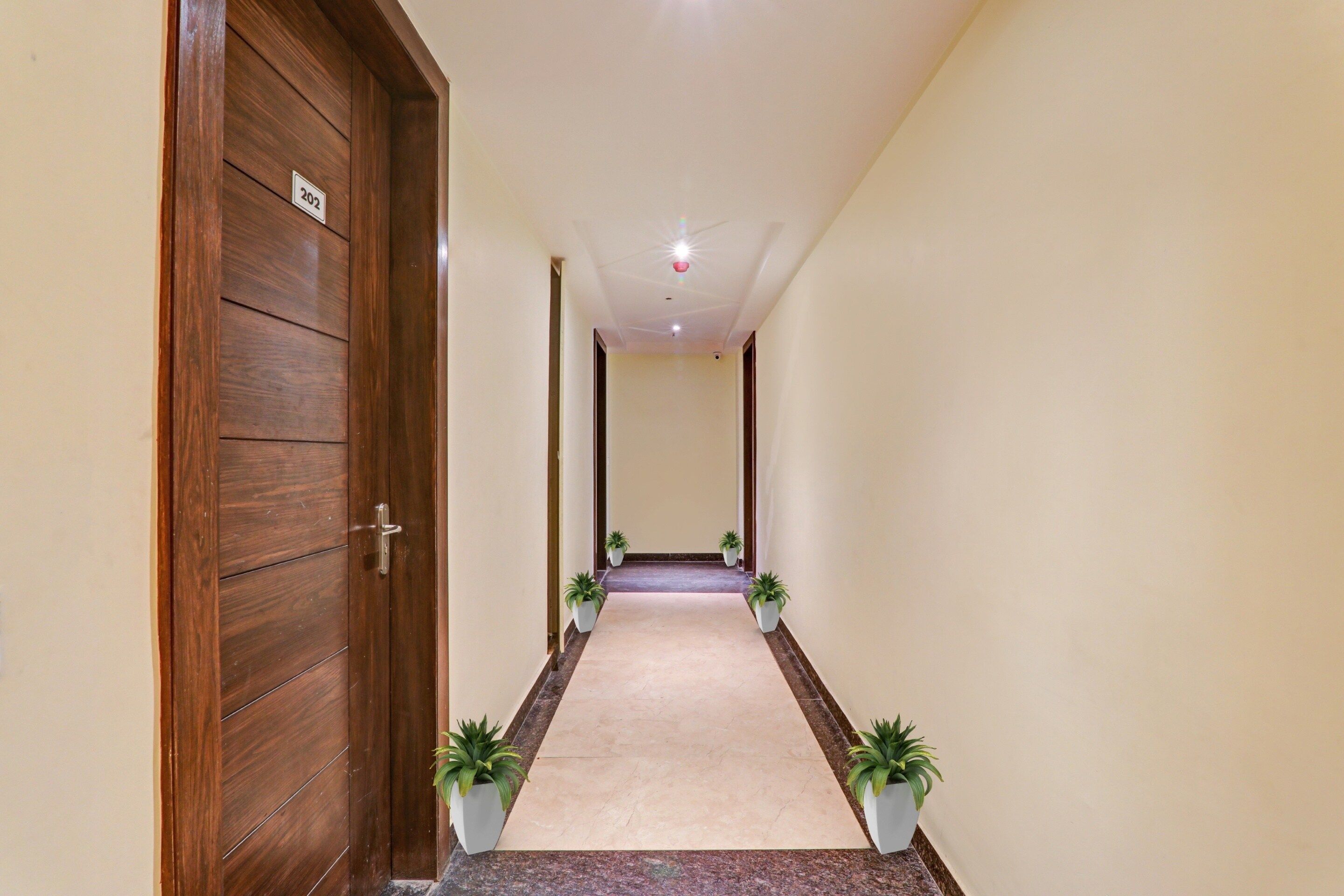 A hallway with a wooden door on the left, numbered 202, leading to a room. The hallway has a tiled floor and is flanked by walls with potted plants.