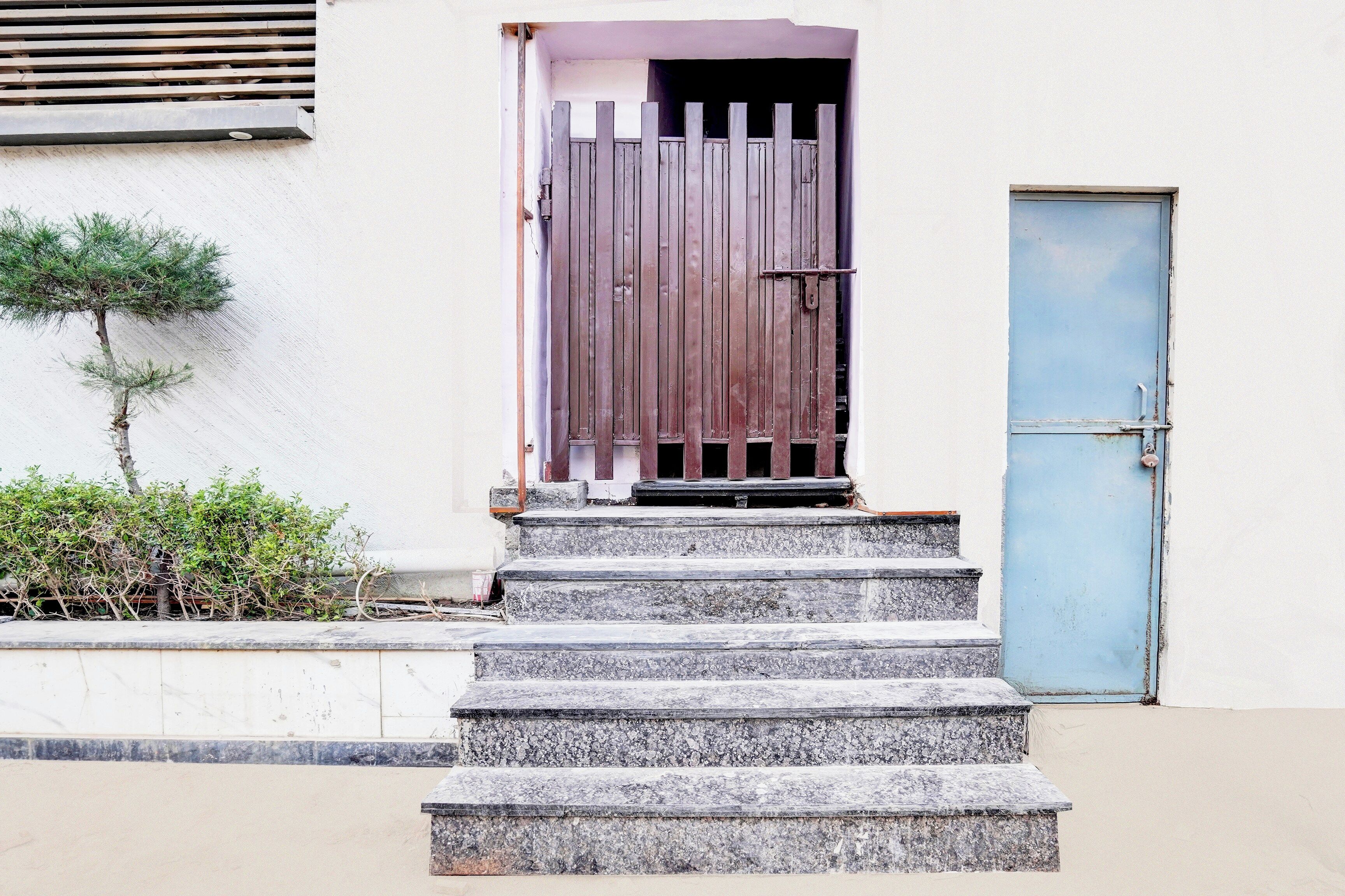Un conjunto de escalones de piedra que conducen a una puerta de madera con una verja de metal, un pequeño árbol y una puerta azul a la derecha.