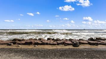 Take a stroll along the waterfront & breathe it in