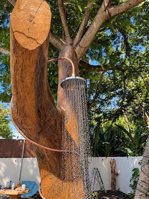 A tree with a copper pipe and a showerhead attached to it, with water flowing from the showerhead.