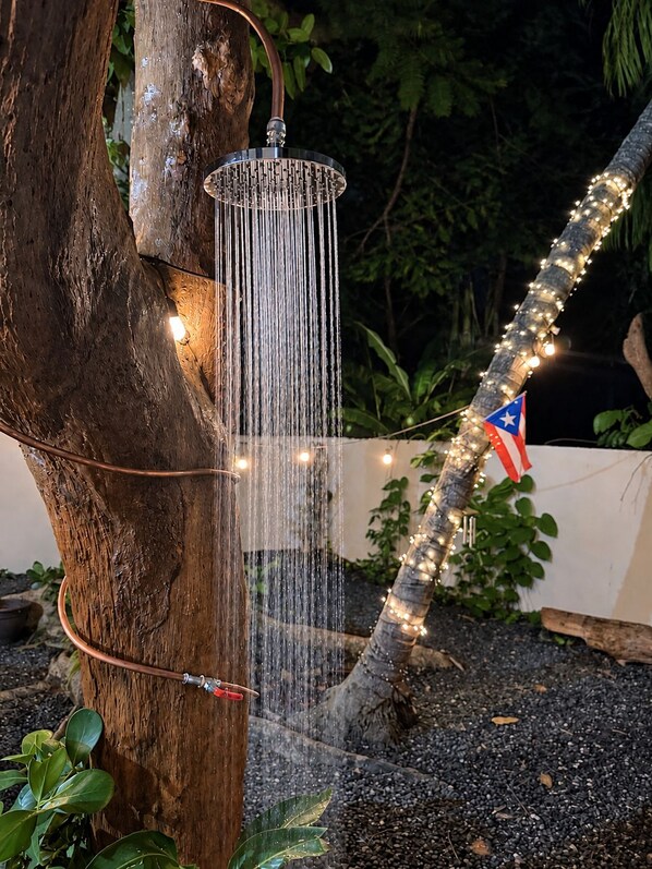 A tree with a water feature and string lights.
