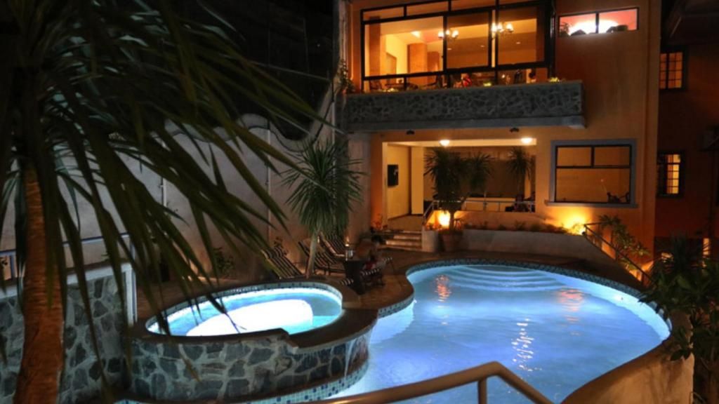 Una piscina con borde de piedra, rodeada de plantas y una palmera.
