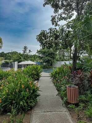 Ein Weg führt zu einem Pool, der von üppigem Grün und einem Baum umgeben ist.