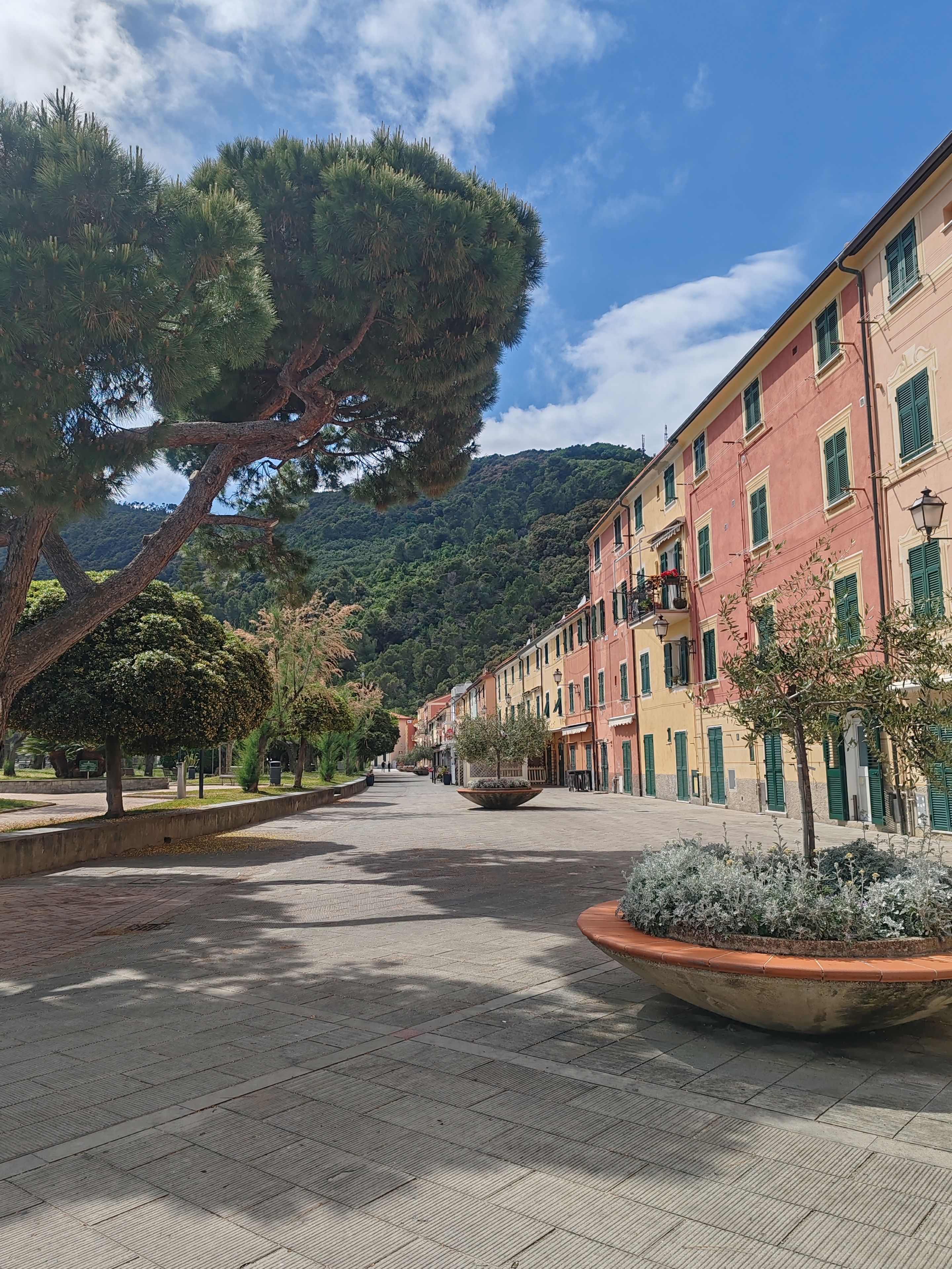 Une place pavée, bordée de bâtiments des deux côtés, avec un grand arbre au premier plan et une montagne en arrière-plan.