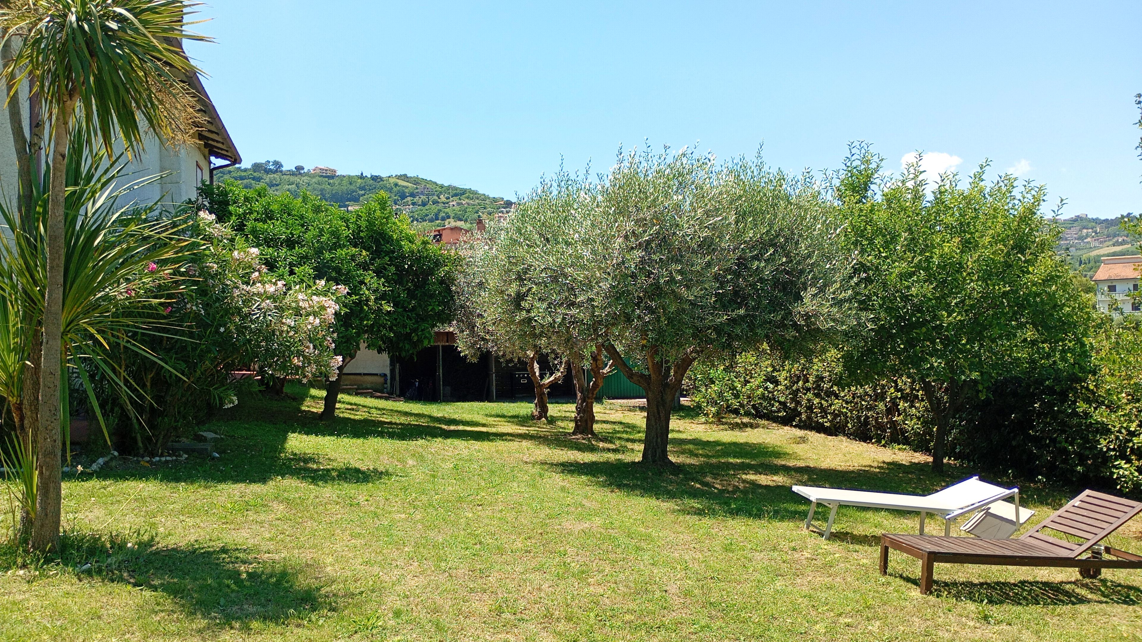 A grassy outdoor area with trees and a bench.