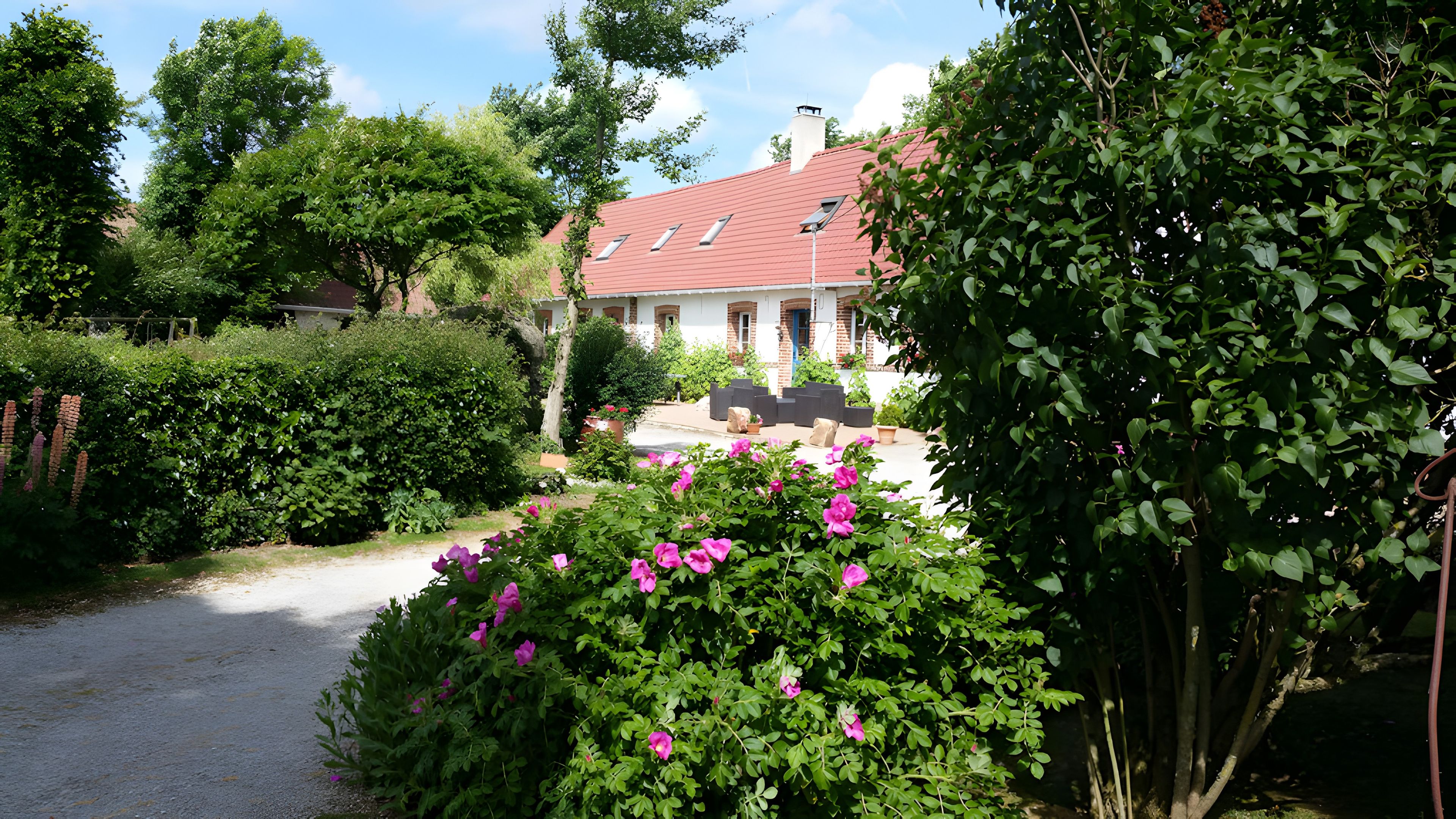A residential area with a paved driveway, a house with a red roof, and lush green foliage.