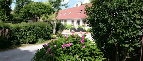 A residential area with a paved driveway, a house with a red roof, and lush green foliage.