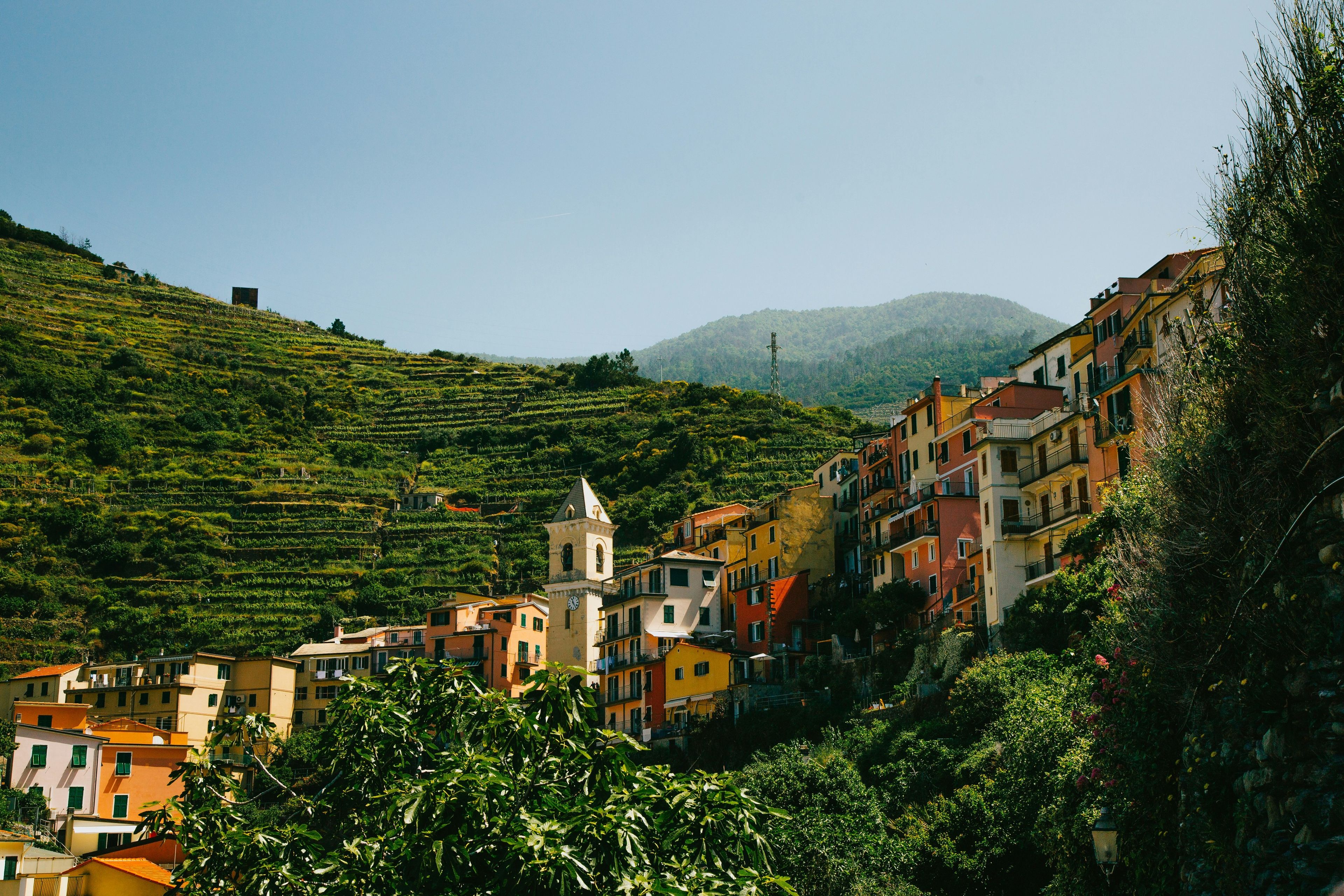 A hillside village with terraced vineyards, colorful buildings, and a prominent tower.