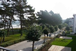 Zona residencial con una calle pavimentada, árboles y vista al mar.