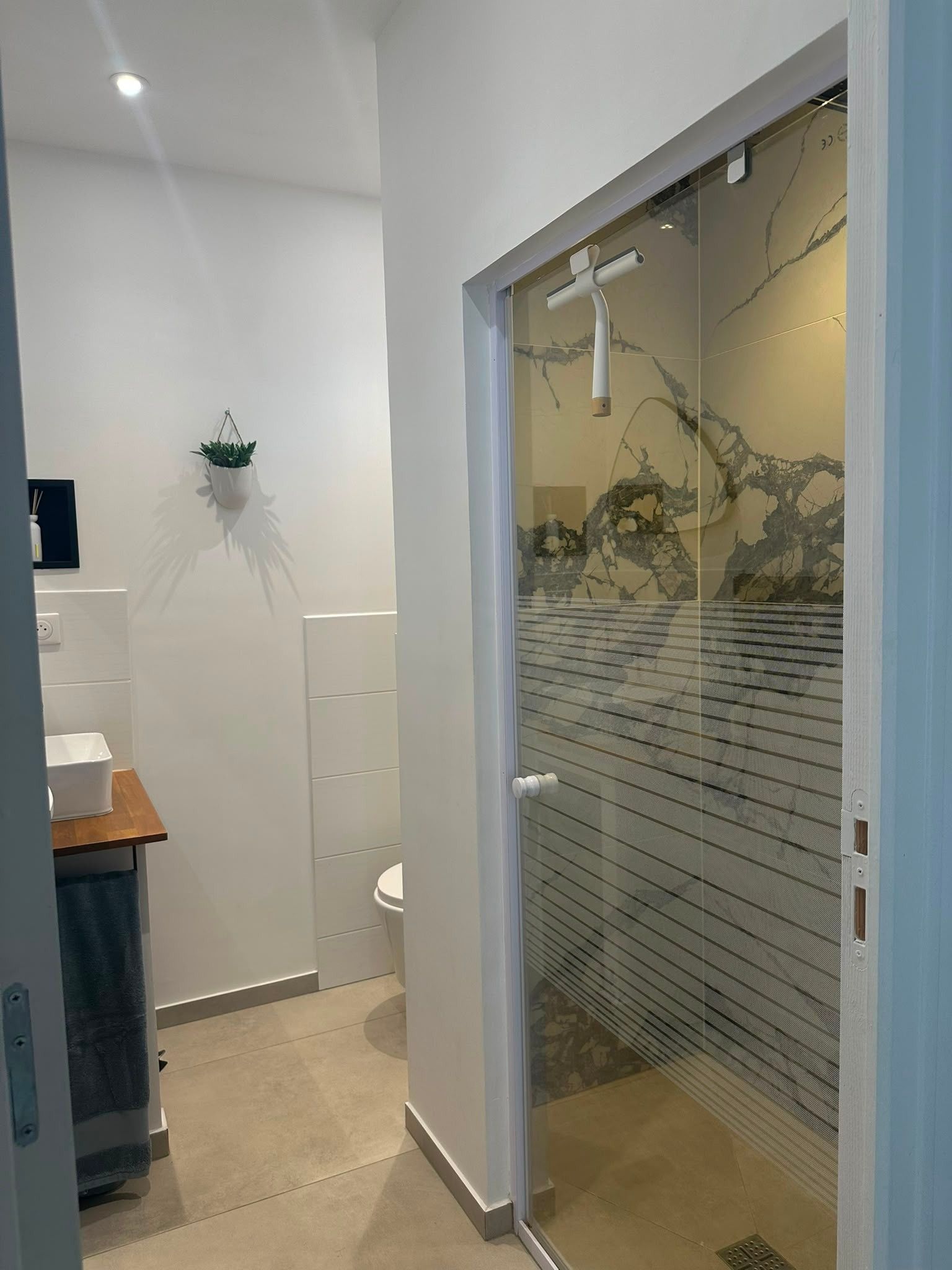 A modern bathroom with a glass shower enclosure, a white toilet, and a small plant on the wall.